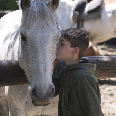 Educació Emocional amb Adolescents en Risc<br> a través d'Intervencions Terapèutiques Assistides amb Cavalls